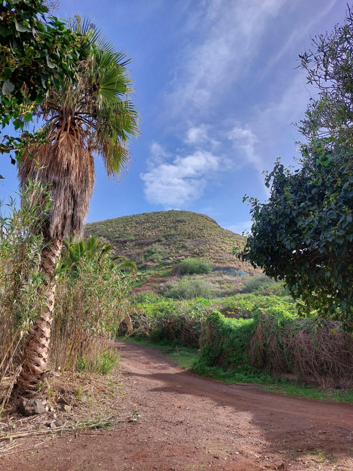 Casa Rural Dona Herminda La Matanza De Acentejo المظهر الخارجي الصورة
