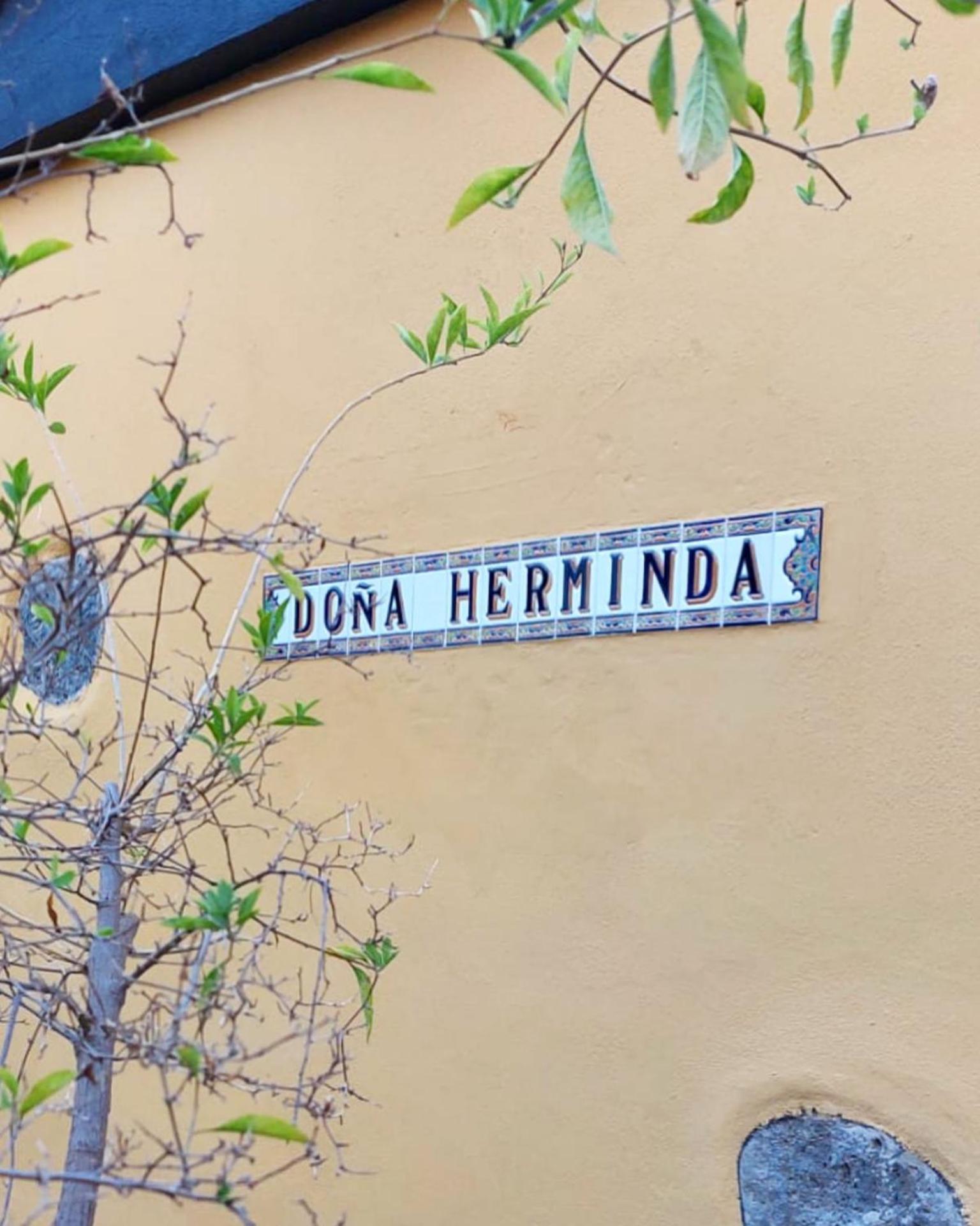Casa Rural Dona Herminda La Matanza De Acentejo المظهر الخارجي الصورة
